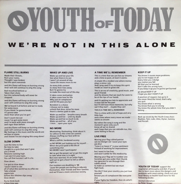 Youth Of Today : We're Not In This Alone (LP,Album)