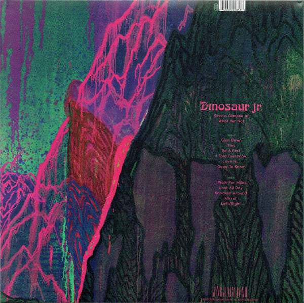 Dinosaur Jr. : Give A Glimpse Of What Yer Not (LP,Album)