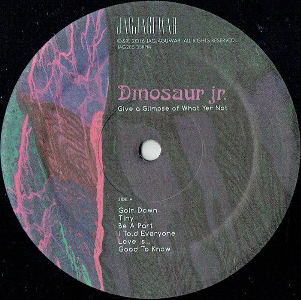 Dinosaur Jr. : Give A Glimpse Of What Yer Not (LP,Album)