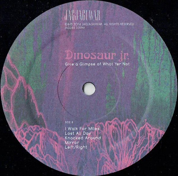 Dinosaur Jr. : Give A Glimpse Of What Yer Not (LP,Album)