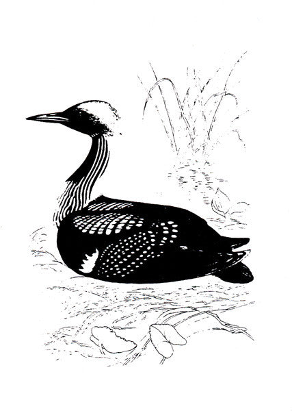 Swervedriver : My Zephyr (Sequel) / Mars (7",45 RPM,Single,Limited Edition,Numbered)