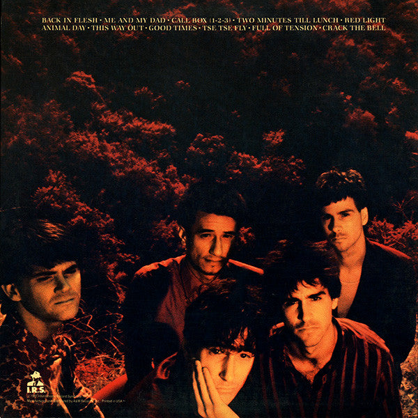 Wall Of Voodoo : Dark Continent (LP,Album)
