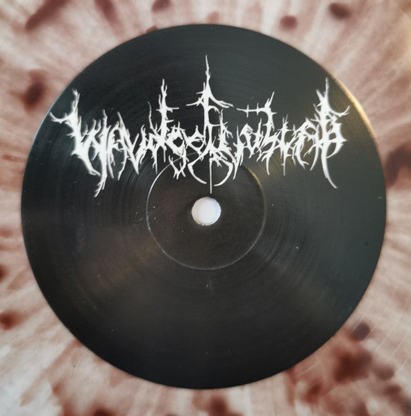 Waldgeflüster / Panopticon (6) : Waldgeflüster / Panopticon (LP,Limited Edition)