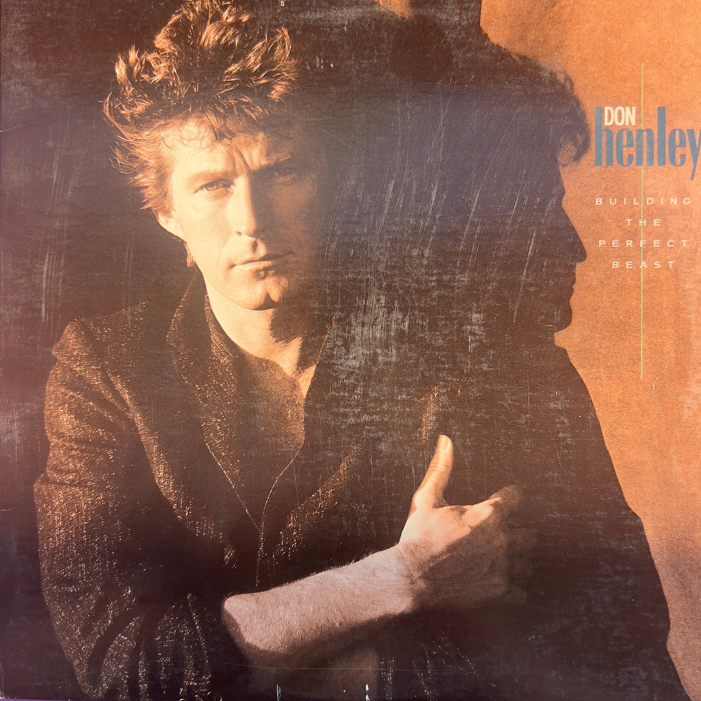 Don Henley Building The Perfect Beast