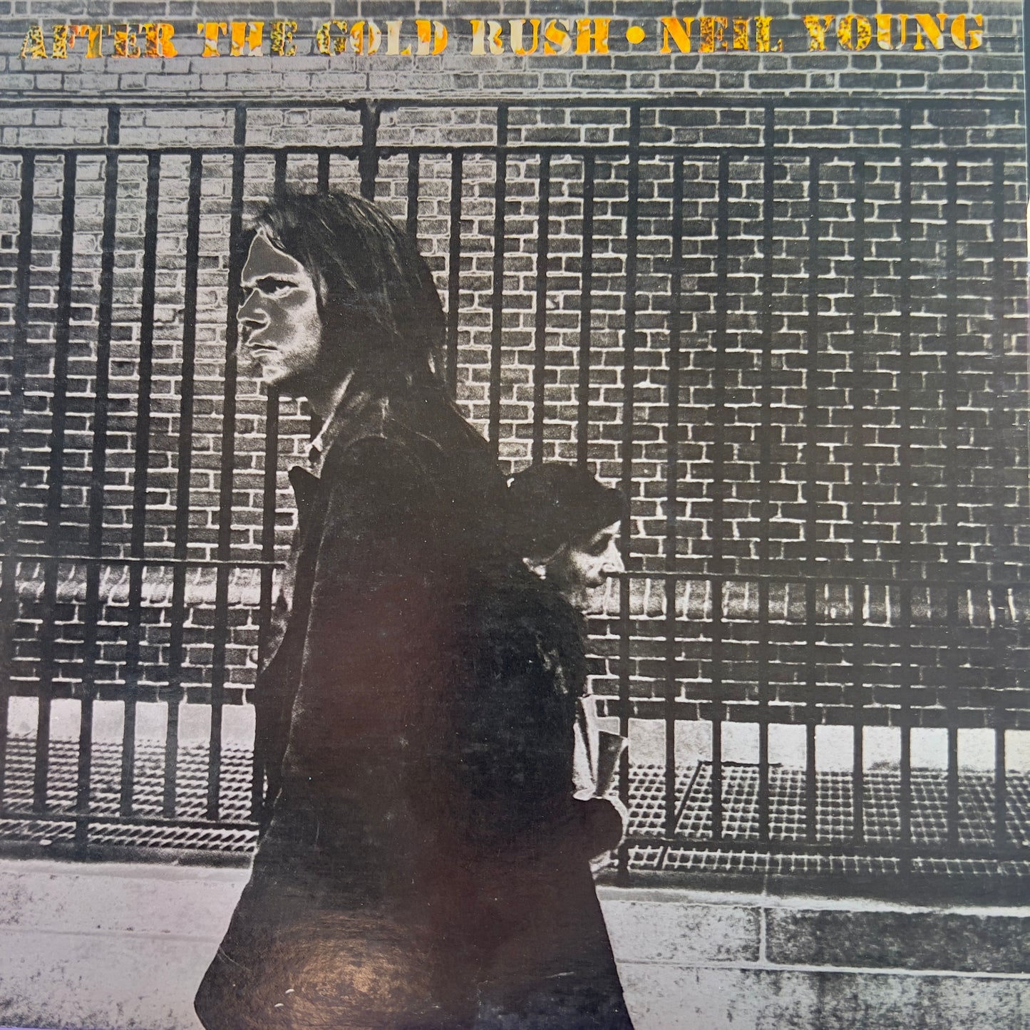 Neil Young After the Gold Rush