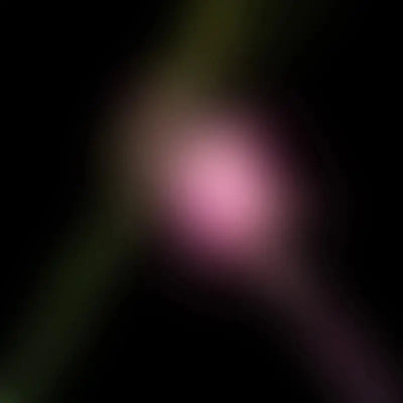 Various - Wicked For Good: The Soundtrack - RSD Black Friday 2025