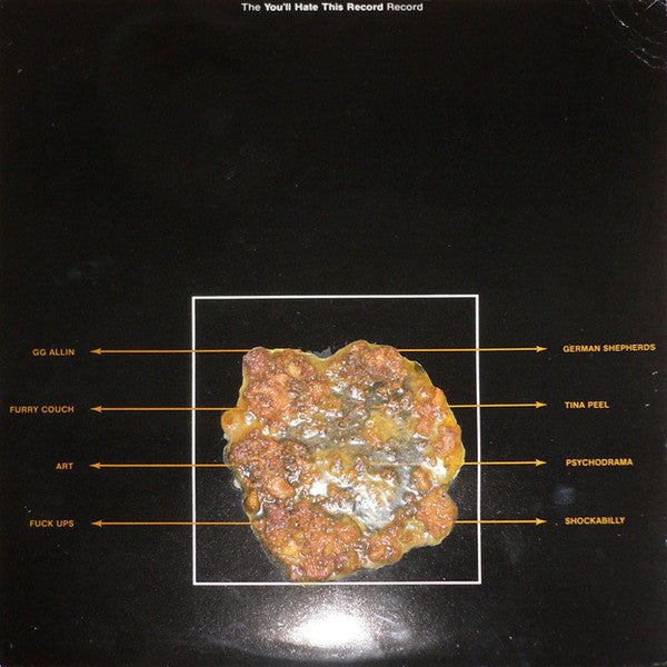 Various : The "You'll Hate This Record" Record (LP,Compilation,Album)