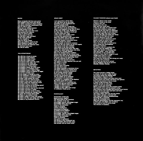 Lungfish : The Unanimous Hour (LP,Album)