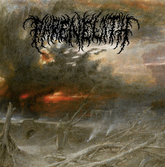 Phrenelith : Desolate Endscape (LP,Album,Reissue)