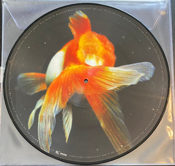 Vince Staples : Big Fish Theory (LP,Album,Limited Edition,Picture Disc)