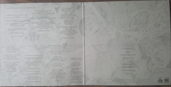 Evil Warriors : Fall From Reality (LP,Album,Limited Edition)