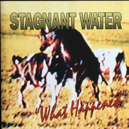 Stagnant Water : "What Happened" (Album,Stereo)