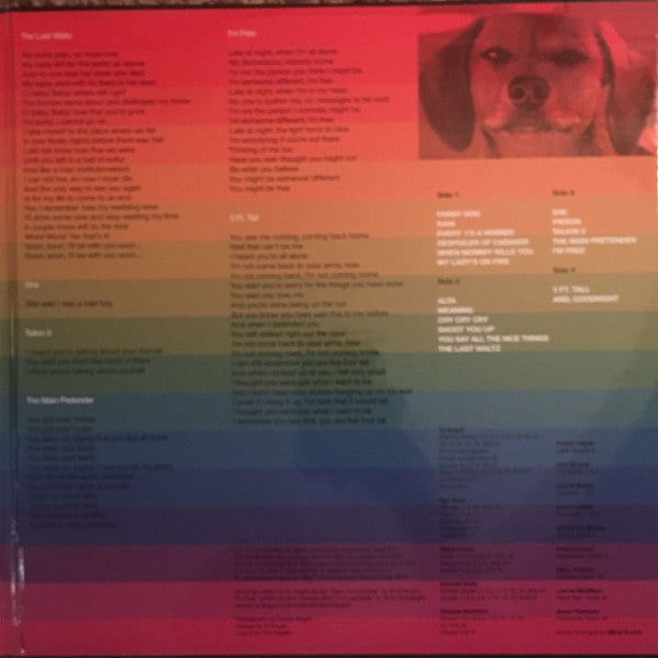 Ty Segall & Freedom Band (3) : Freedom’s Goblin (LP,Album)