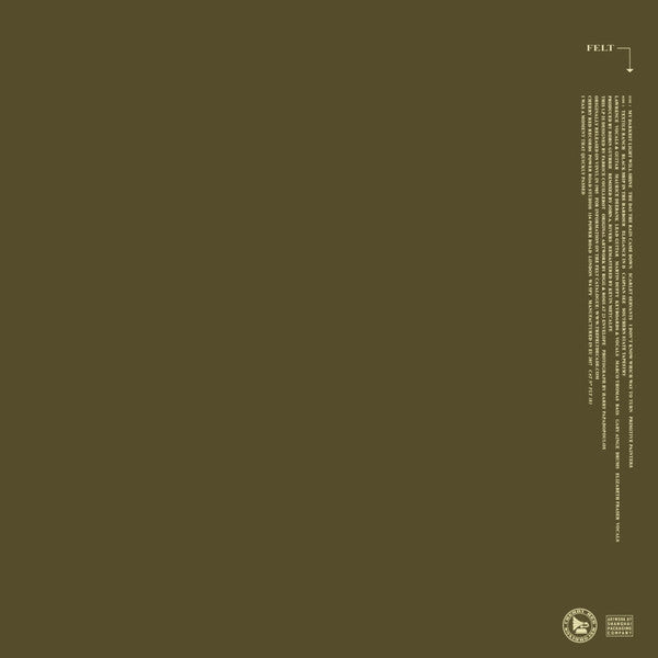 Felt : Ignite The Seven Cannons (LP,Album,Reissue,Remastered)