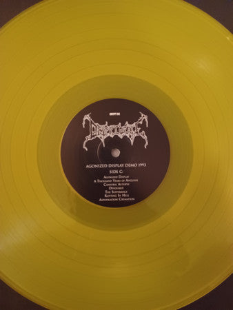 Deteriorate : Rotting In Hell + Demos (LP,Compilation,Limited Edition)