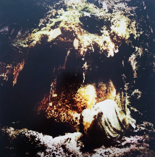 Wolves In The Throne Room : Celestial Lineage (12",33 ⅓ RPM,45 RPM,Album,Reissue)