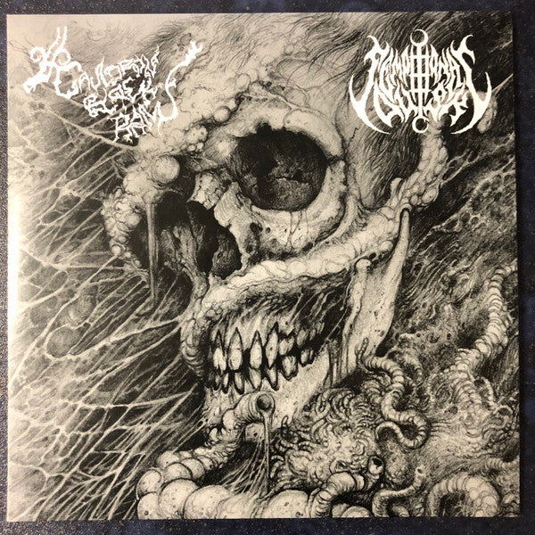 Cauldron Black Ram / Sempiternal Dusk : The Maul Of The Old World / Stygian Reflections In Ruin (7",45 RPM,Limited Edition,Misprint)