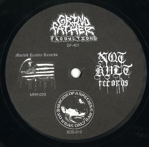 Heinous (2) : The Basement (12",45 RPM,Album)