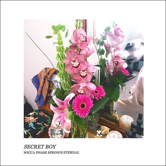 Wicca Phase Springs Eternal : Secret Boy (LP,Album,Reissue)