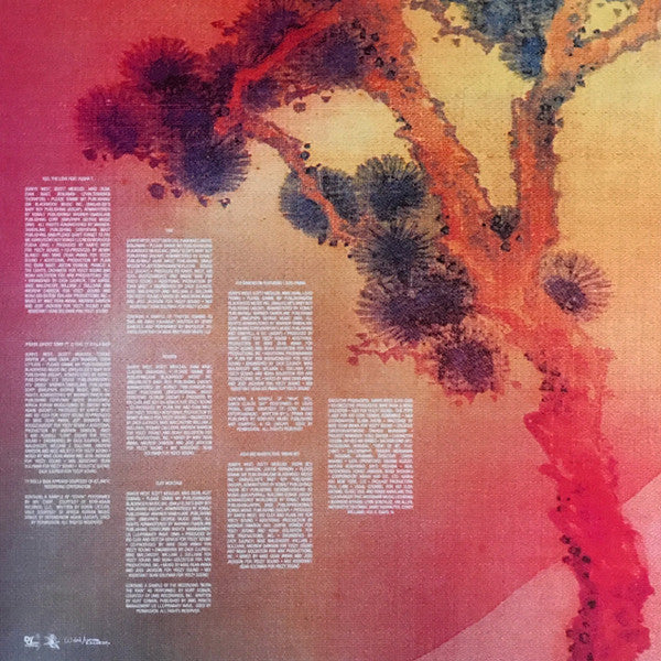 Kids See Ghosts : Kids See Ghosts (LP,Album)