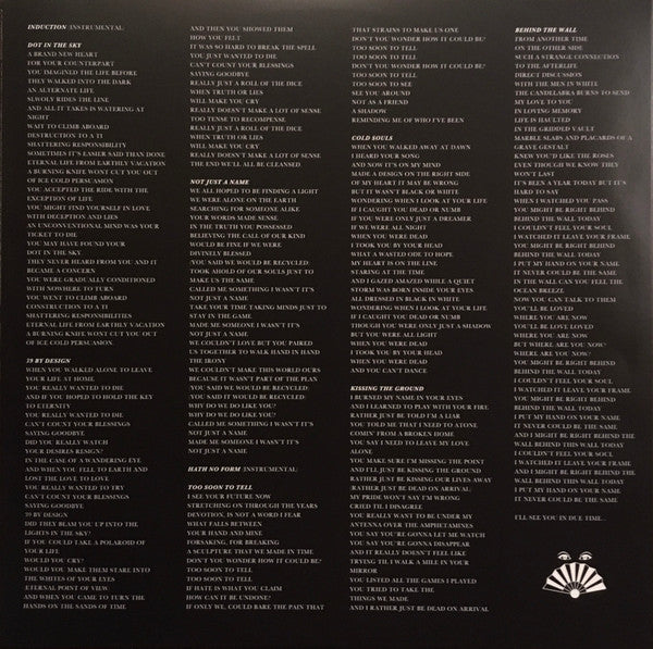 Drab Majesty : The Demonstration (LP,Album,Limited Edition,Repress)