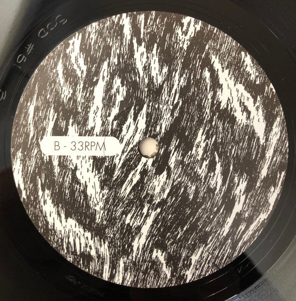 Litovsk : Dispossessed (LP,Album)