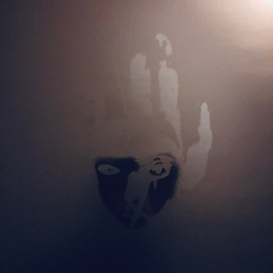 Echo Beds : New Icons Of A Vile Faith (LP,Album)