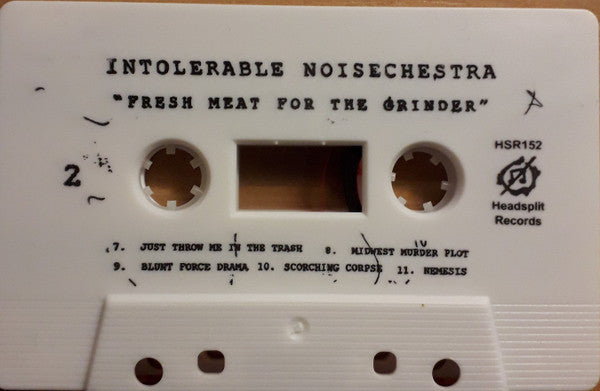Intolerable Noisechestra : Fresh Meat For The Grinder ()