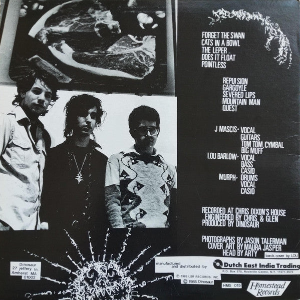 Dinosaur Jr. : Dinosaur (LP,Album,Repress)