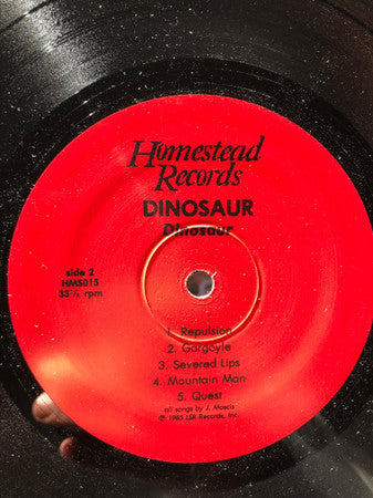 Dinosaur Jr. : Dinosaur (LP,Album,Repress)
