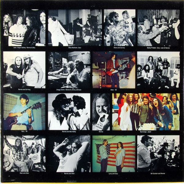 Lynyrd Skynyrd : Skynyrd's First And... Last (LP,Album)