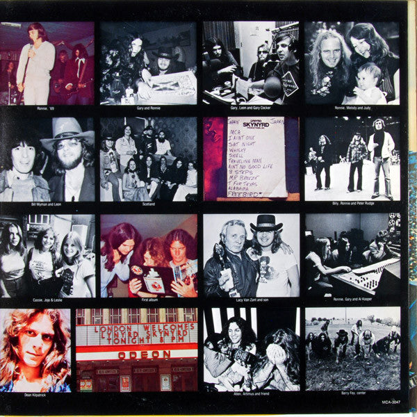 Lynyrd Skynyrd : Skynyrd's First And... Last (LP,Album)