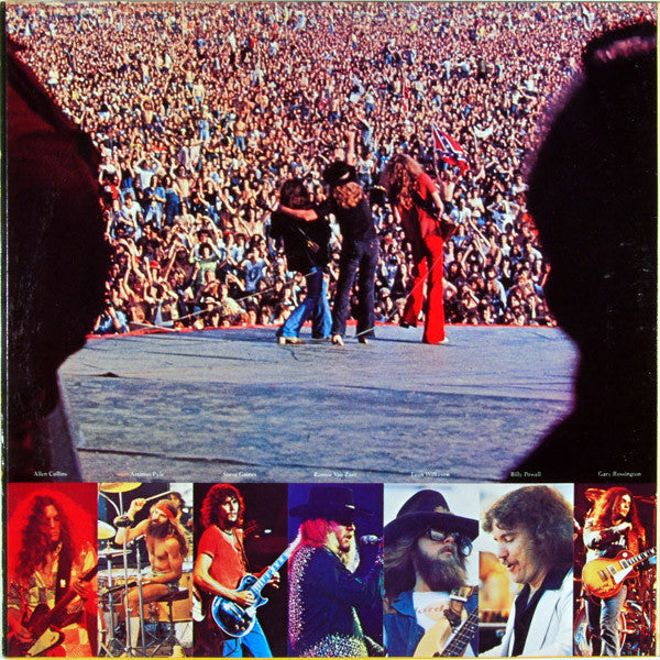 Lynyrd Skynyrd : Skynyrd's First And... Last (LP,Album)