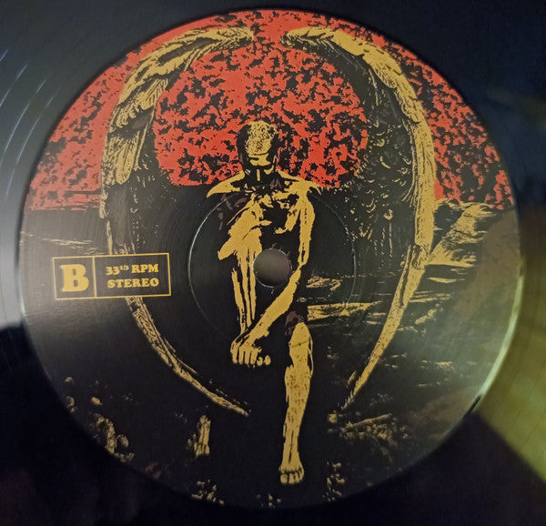 Haunt (7) : If Icarus Could Fly (LP,Album)