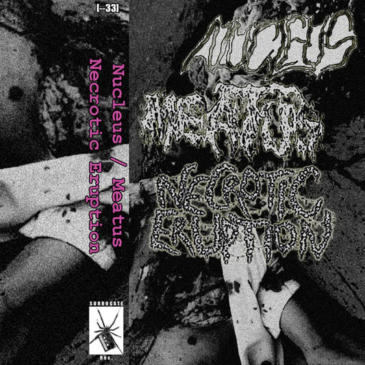Nucleus (17) / Meatus (2) / Necrotic Eruption : 3 Way Split (Album)