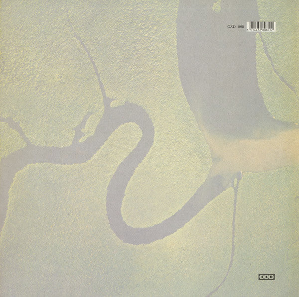 Dead Can Dance : The Serpent's Egg (LP,Album)