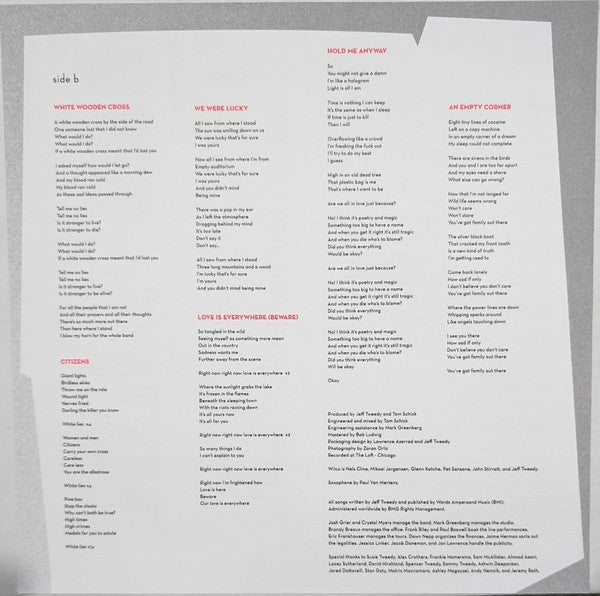 Wilco : Ode To Joy (LP,Album)