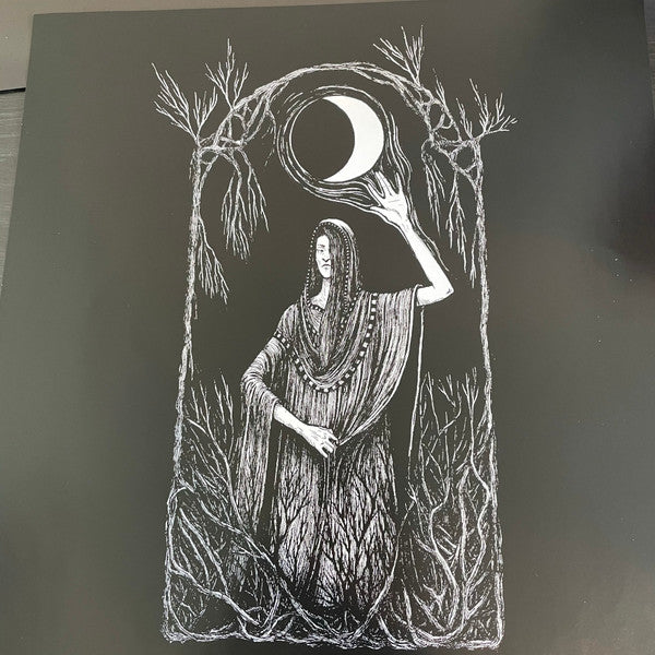 False (2) : Portent (LP,Album,Limited Edition)