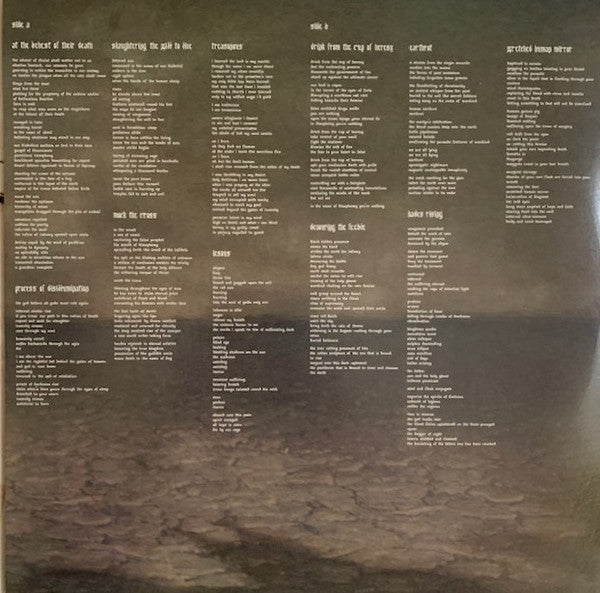 Bloodbath : The Fathomless Mastery (LP,Album,Repress)