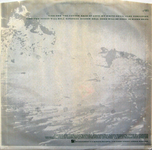 Echo & The Bunnymen : Porcupine (LP,Album,Stereo)