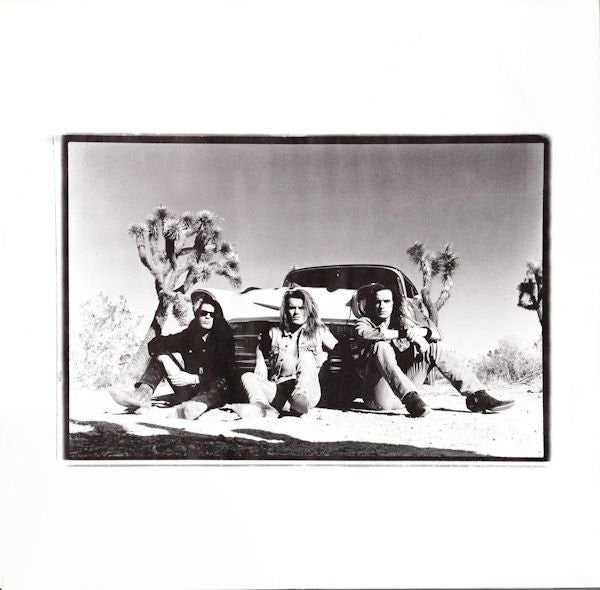 Cult, The : Sonic Temple (LP,Album)