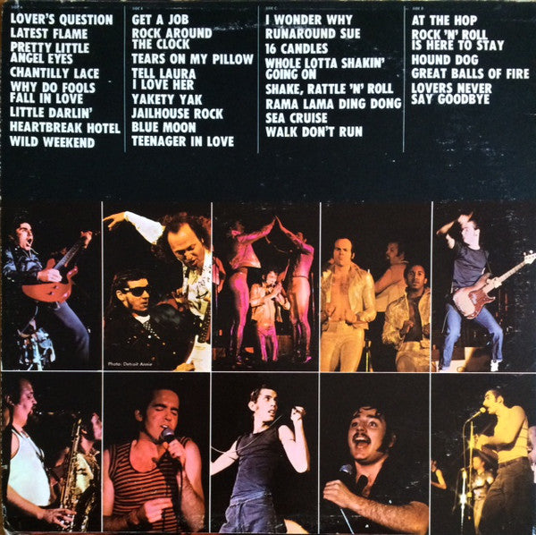 Sha Na Na : The Golden Age Of Rock 'n' Roll (LP,Album)