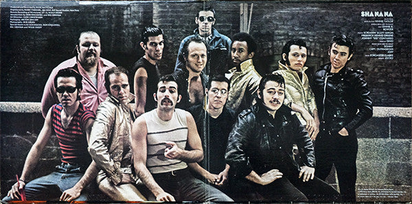 Sha Na Na : The Golden Age Of Rock 'n' Roll (LP,Album)