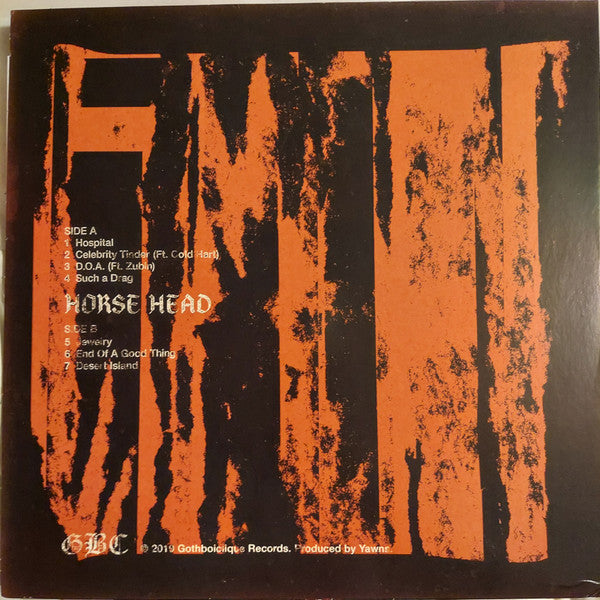Horse Head : We Had Our Fun (LP,45 RPM,Album)