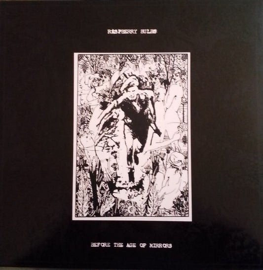 Raspberry Bulbs : Before The Age Of Mirrors (LP,Album)