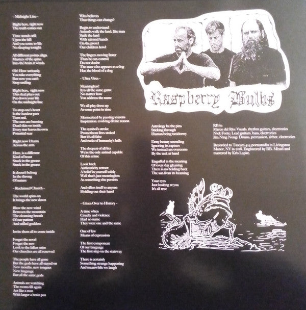 Raspberry Bulbs : Before The Age Of Mirrors (LP,Album)