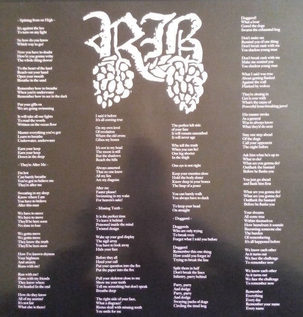 Raspberry Bulbs : Before The Age Of Mirrors (LP,Album)