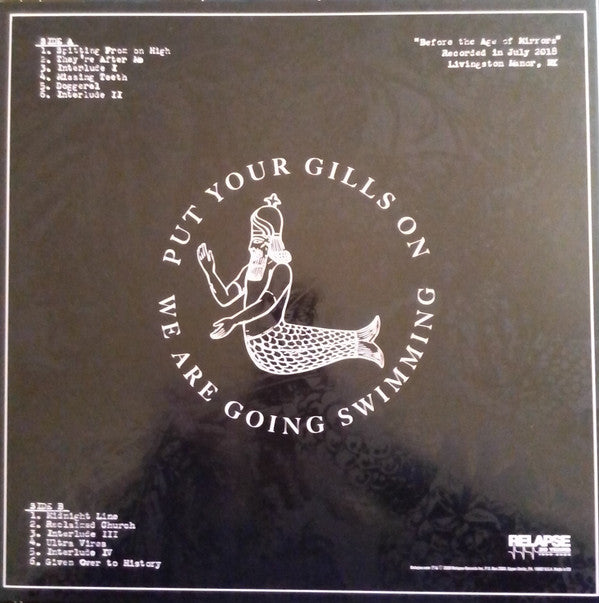 Raspberry Bulbs : Before The Age Of Mirrors (LP,Album)