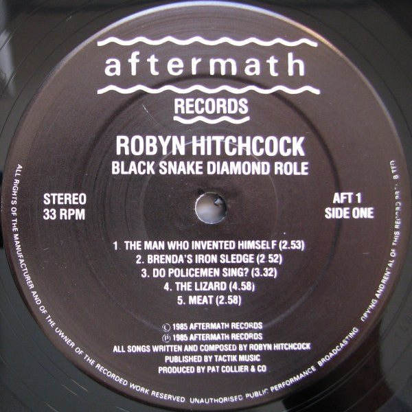 Robyn Hitchcock : Black Snake Diamond Röle (LP,Album)