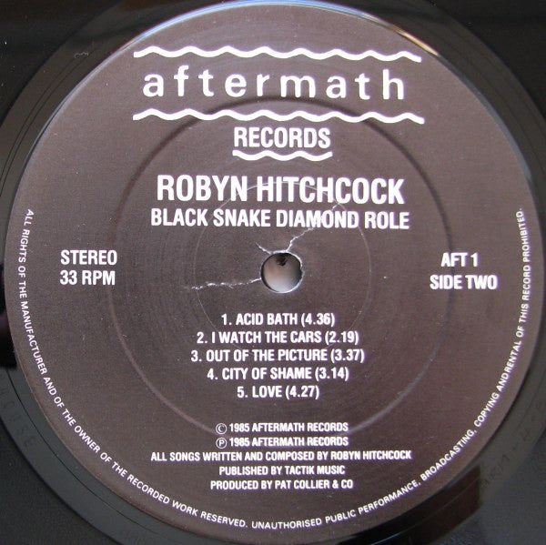 Robyn Hitchcock : Black Snake Diamond Röle (LP,Album)